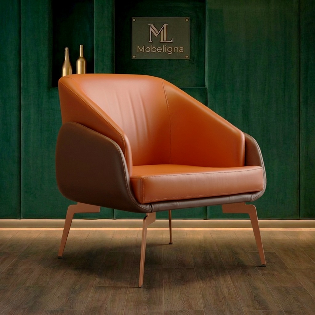 Fauteuil Mobeligna #53